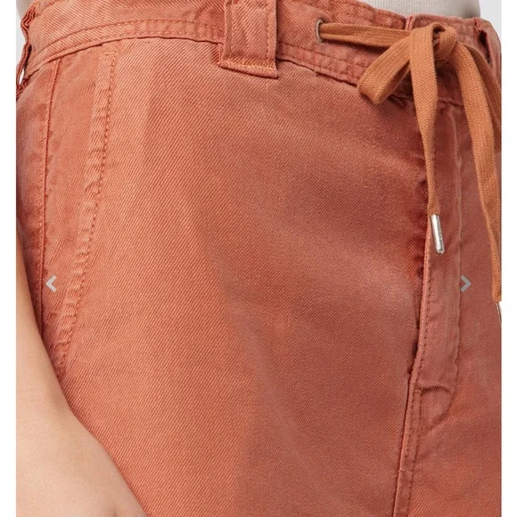 Hudson Size 34 Drawstring Bronze Pants NWT - Picture 9 of 9